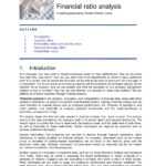 10+ Business Financial Analysis Examples – Pdf | Examples Within Credit Analysis Report Template