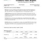 11+ Annual Sales Report Examples – Pdf, Word, Pages | Examples Throughout Sales Trip Report Template Word