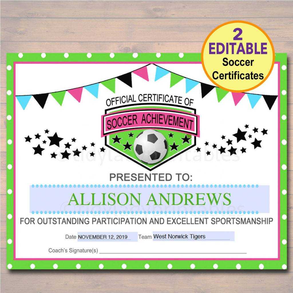 13+ Soccer Award Certificate Examples – Pdf, Psd, Ai With Regard To Soccer Certificate Templates For Word