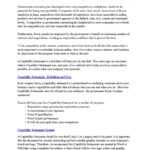 39 Effective Capability Statement Templates (+ Examples) ᐅ Within Capability Statement Template Word