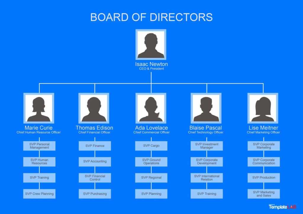 Organogram Template Word Free