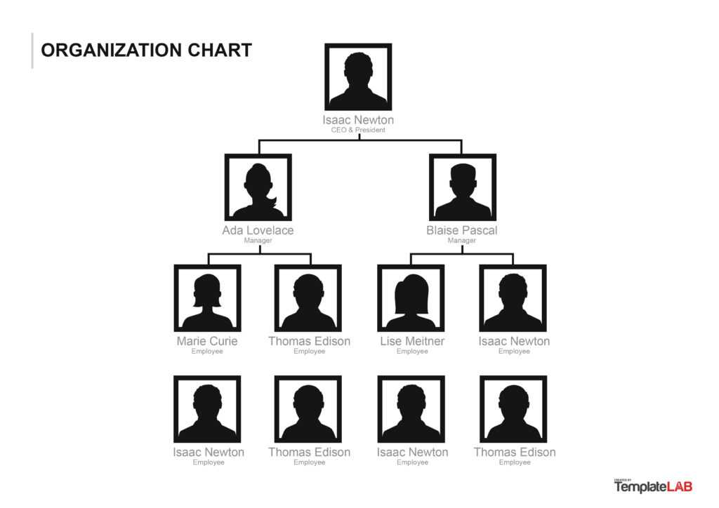 Company Organizational Chart Template Word Free Download