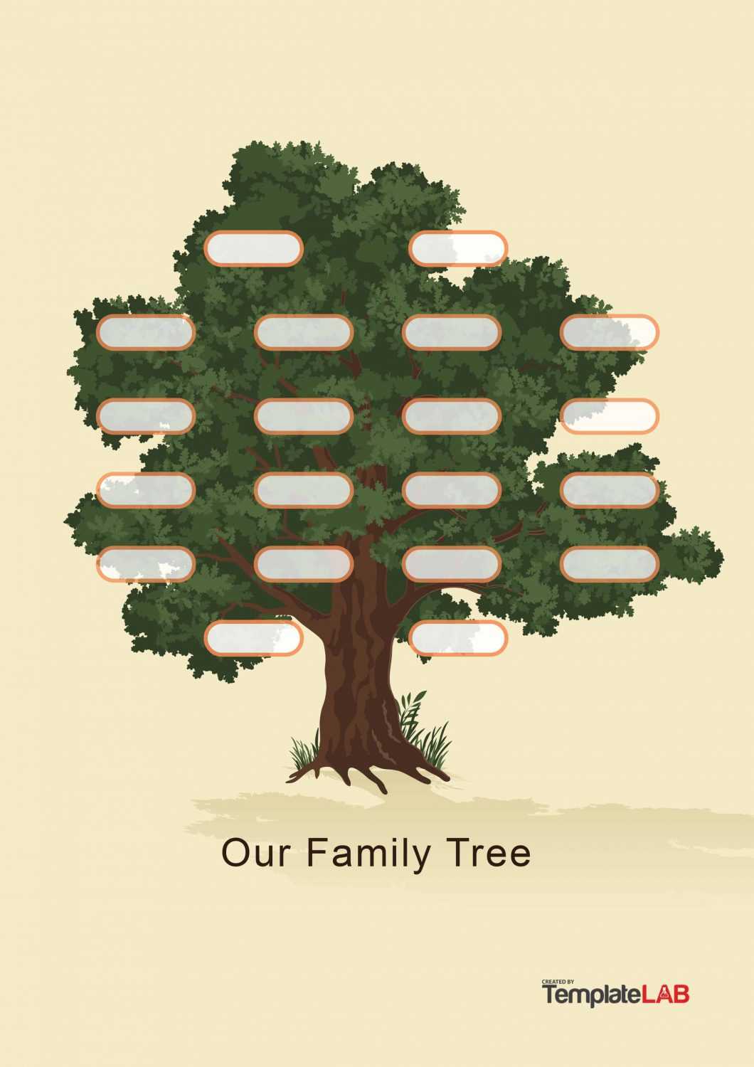 41+ Free Family Tree Templates (Word, Excel, Pdf) ᐅ Templatelab For 3 Generation Family Tree Template Word