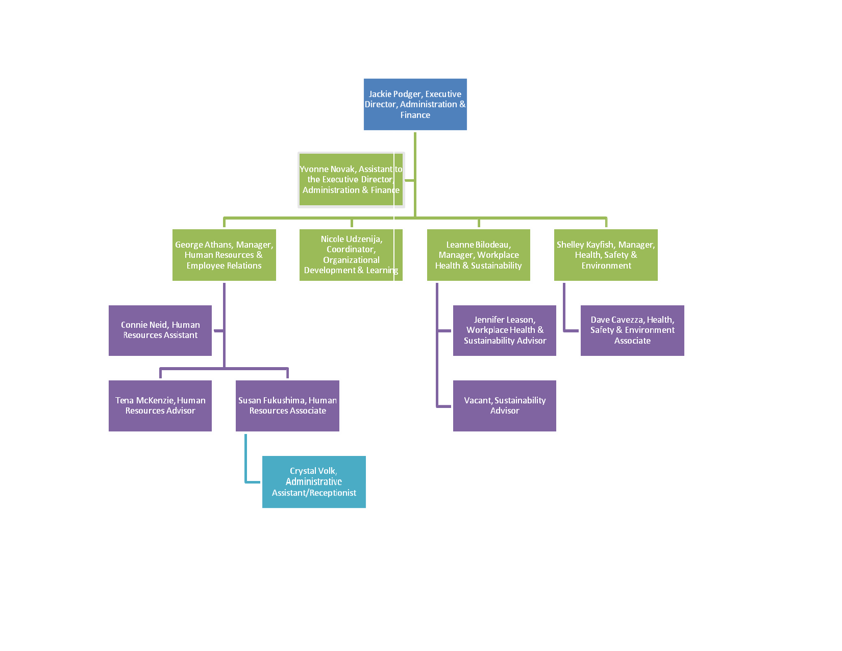 59 Images Organizational Chart Template Word 2013 With Org Chart Template Word