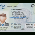 84Ab1 Ontario Drivers License Template | Wiring Library Intended For Blank Drivers License Template