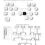 Best Templates Family Tree Word Genogram Template Document With Regard To Genogram Template For Word