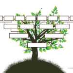 Blank Family Tree Template | Free Instant Download Regarding Blank Tree Diagram Template