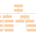 Blank Org Chart Template | Lucidchart throughout Free Blank Organizational Chart Template