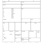 Brain Nurse Report Sheet Template – Nursejanx Store For Nurse Report Sheet Templates