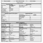 Building Inspection Report Sample And Template Free Nz For Daily Inspection Report Template
