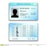 Driver License Illustration Stock Vector – Illustration Of Intended For Blank Drivers License Template