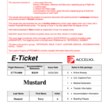 E Ticket Sample – Fill Out And Sign Printable Pdf Template | Signnow Throughout Blank Parking Ticket Template