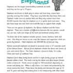 Elephant Report Writing For Report Writing Template Ks1