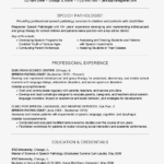Examples Of A Speech Pathologist Resume And Cover Letter With Regard To Speech And Language Report Template
