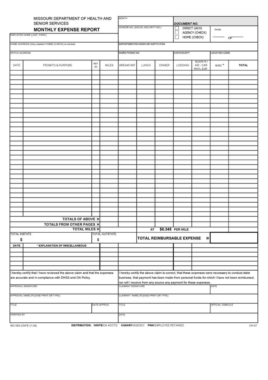 Expense Report Template Expenses Spreadsheet Templates To Intended For Monthly Expense Report Template Excel