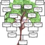 Family Tree 3 Generations – Karan.ald2014 Throughout Blank Family Tree Template 3 Generations