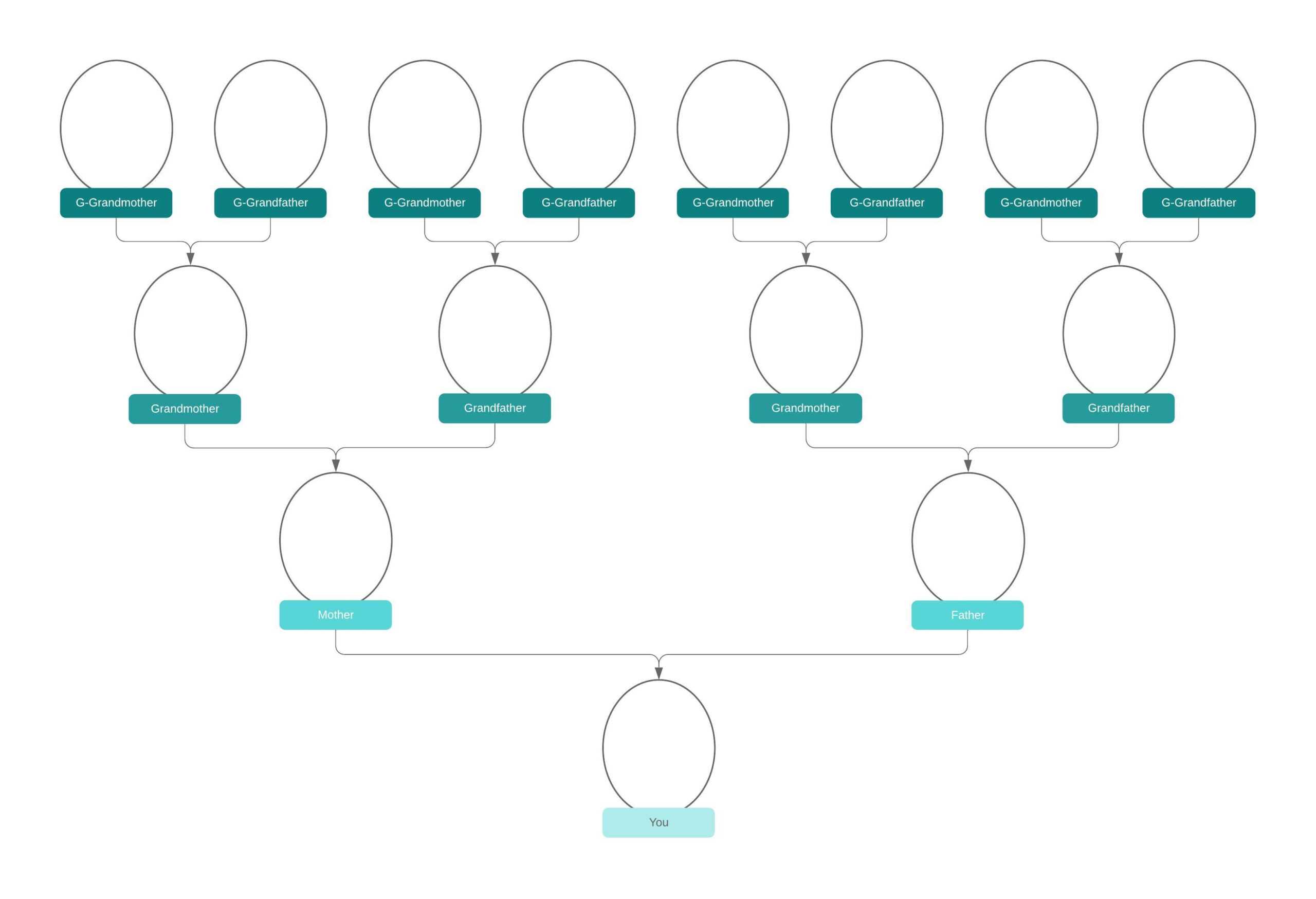 Family Tree Generator | Lucidchart Inside Blank Tree Diagram Template