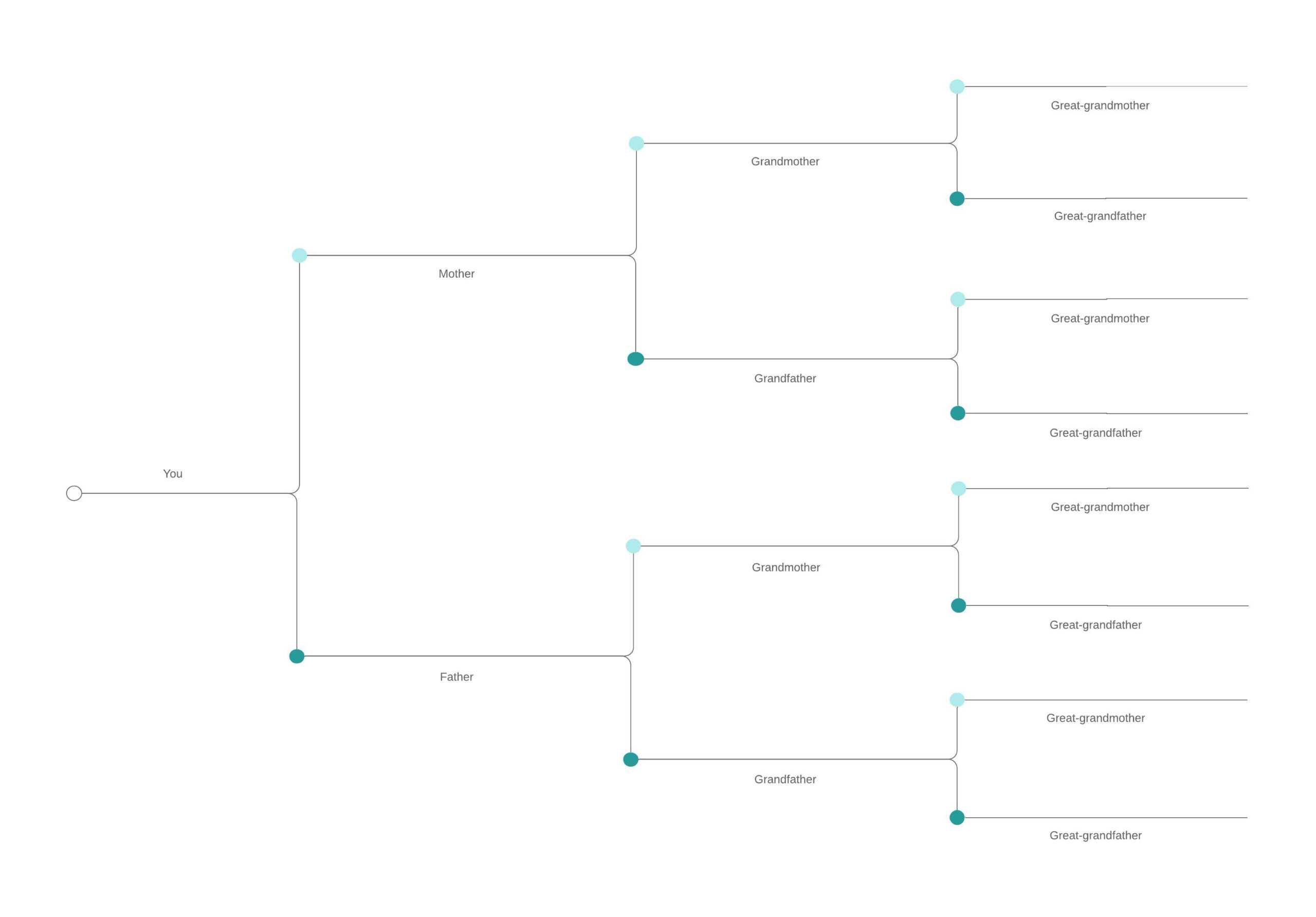 Family Tree Generator | Lucidchart Regarding Blank Tree Diagram Template