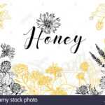 Flower Honey Vector Hand Drawn Banner Template. Natural Pertaining To Homemade Banner Template