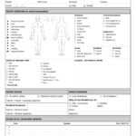 Free 14+ Patient Report Forms In Pdf | Ms Word Inside Generic Incident Report Template