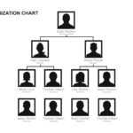Free Organizational Chart Templates | Template Samples Regarding Free Blank Organizational Chart Template