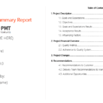 Free Project Executive Summary Report Template – Project Throughout Executive Summary Report Template