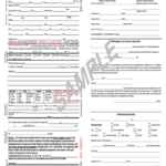 Georgia Traffic Citation – Fill Online, Printable, Fillable With Blank Speeding Ticket Template