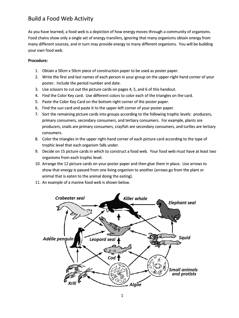 How To Make A Food Web – Fill Online, Printable, Fillable In Blank Food Web Template