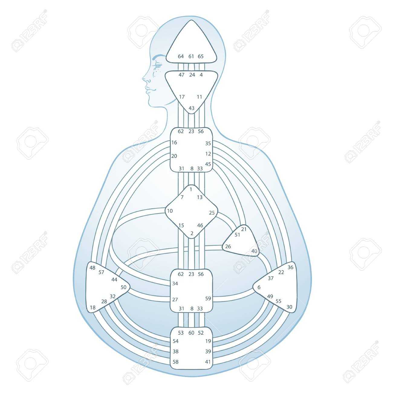 Human Design Bodygraph Chart Design. Vector Isolated Illustration Throughout Blank Body Map Template