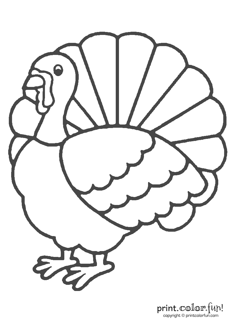 Male Turkey Coloring Pages 34 Best Turkey Images Coloring With Regard To Blank Turkey Template