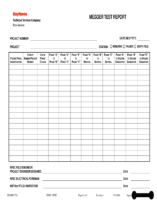 Megger Test Report - Fill Online, Printable, Fillable, Blank regarding Megger Test Report Template