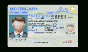 Michigan Driver License Psd Template within Blank Drivers License Template