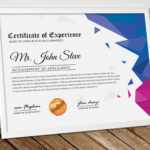 Microsoft Word Certificate Template – Vsual With Professional Certificate Templates For Word