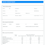 Modifi Ed Semen Analysis Report Template. The Main Throughout Medical Report Template Free Downloads