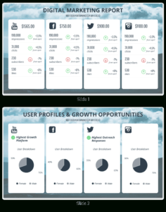 Monthly Social Media Report with regard to Social Media Report Template