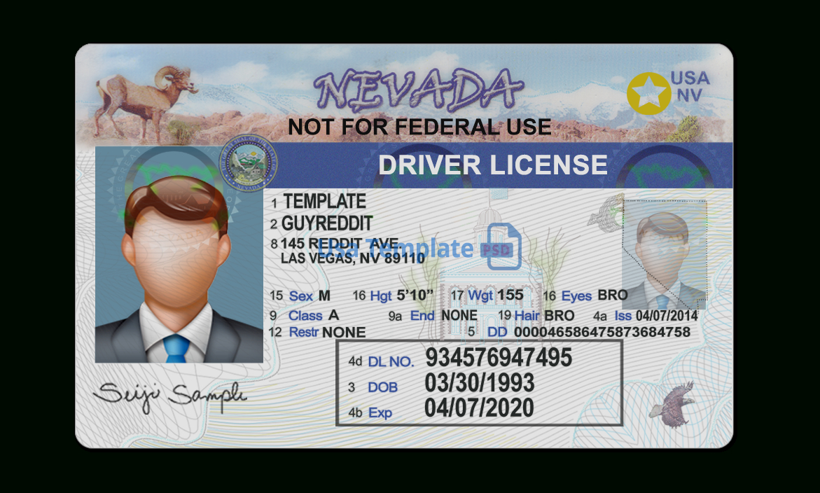 Nevada Driver License Template Intended For Blank Drivers License Template