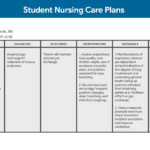 Nursing Care Plan (Ncp): Ultimate Guide And Database Pertaining To Nursing Care Plan Template Word