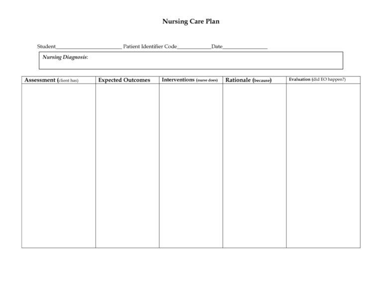 nursing care plan worksheet