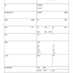 Nursing Report Sheet Template – Nursejanx Store Intended For Nurse Report Sheet Templates