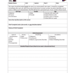 Patient Care Report - Fill Online, Printable, Fillable in Patient Care Report Template