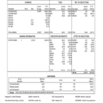 Pay Stub Template – Fill Online, Printable, Fillable, Blank Intended For Blank Pay Stubs Template
