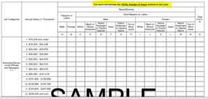 Prepare Now For Next Eeo-1 Component with regard to Eeo 1 Report Template
