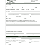 Pretend Police Ticket Template – Fill Online, Printable With Regard To Blank Speeding Ticket Template