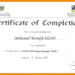 Printable Doc Pdf Editable Training Certificate Template Regarding Training Certificate Template Word Format