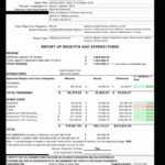 Printable Grant Financial Report Template Best Of pertaining to Fundraising Report Template