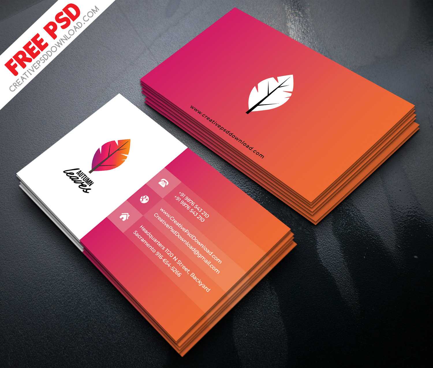 Professional Business Card Psd Free Download In Blank Business Card Template Psd