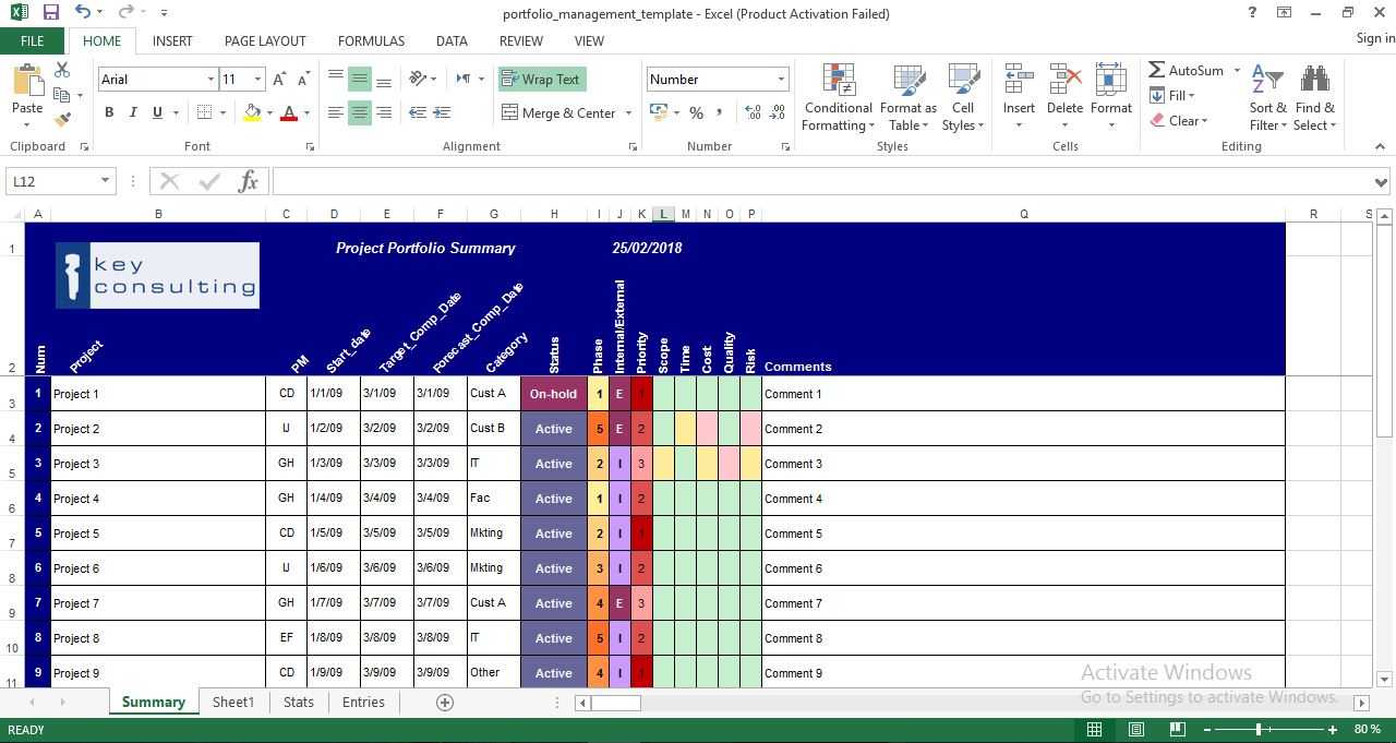 Project Portfolio Management Excel Template - Engineering Regarding Portfolio Management Reporting Templates