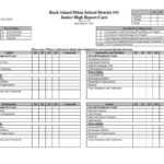 Report Card Examples – Illinois Standards Based Reporting In Kindergarten Report Card Template