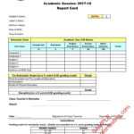 Report Card Format – Tomope.zaribanks.co With Homeschool Report Card Template