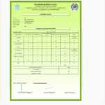 Report Card Generator Software, Student Report Card With Report Card Format Template